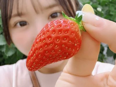 anchan_ video